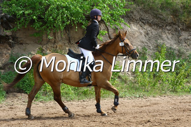 005L3605_Springreiter WB.JPG